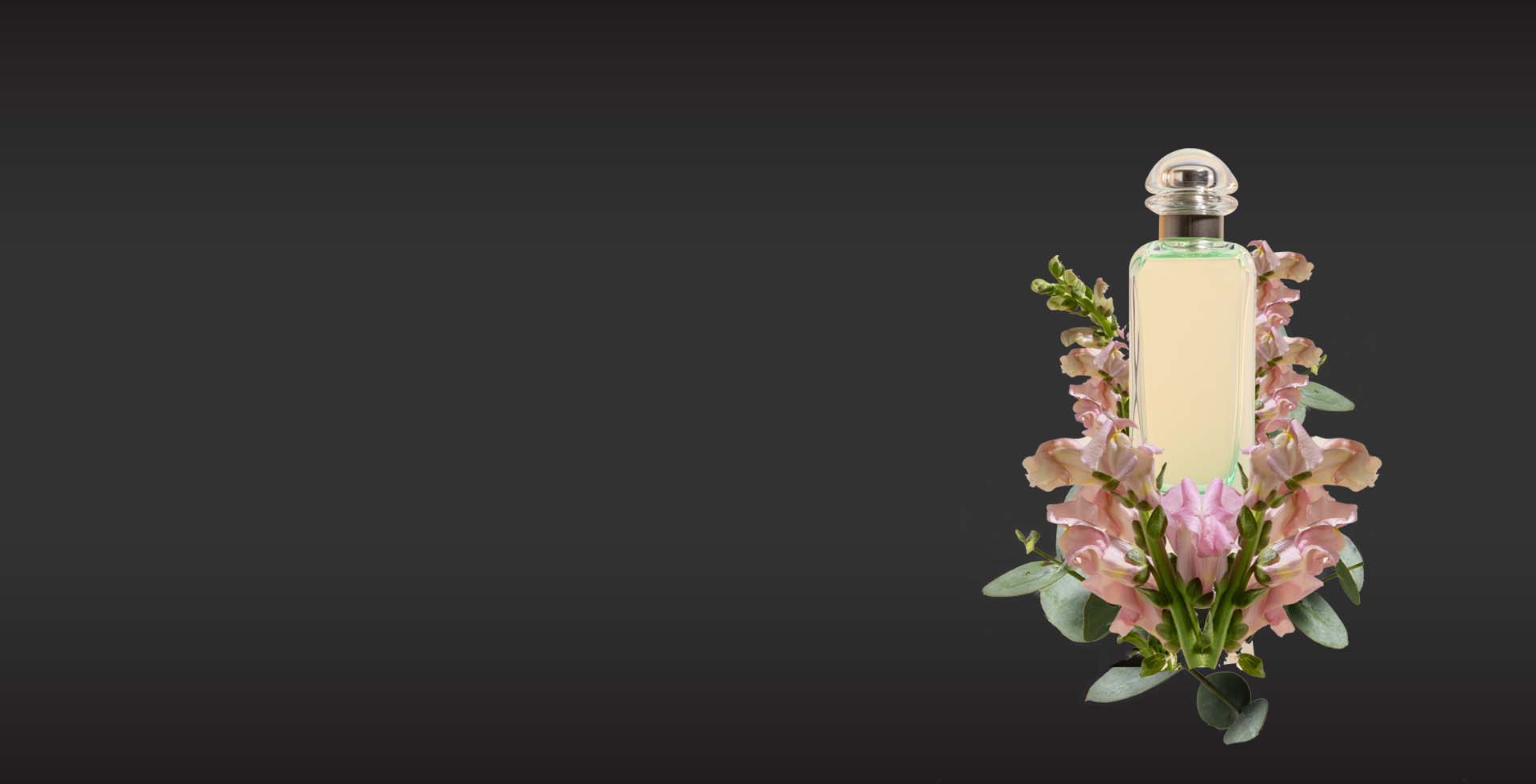 _img-slider