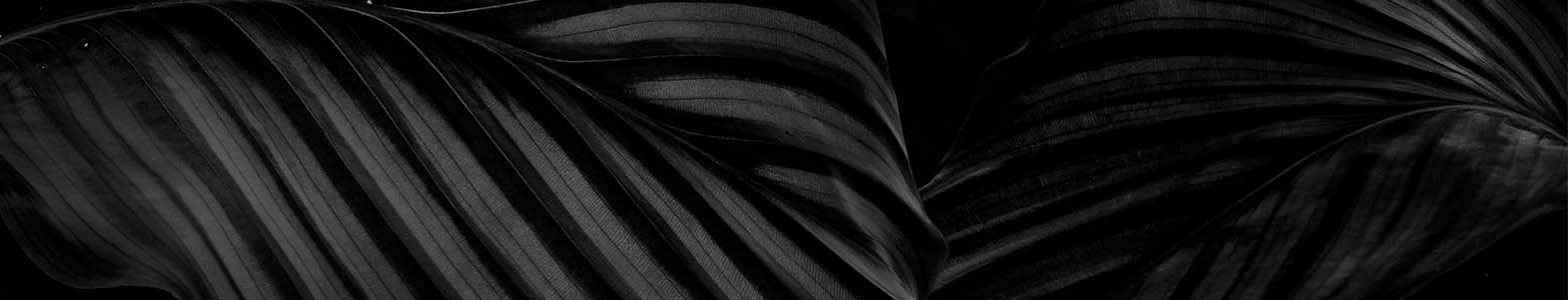 _img banner HOMEPAGE-V3