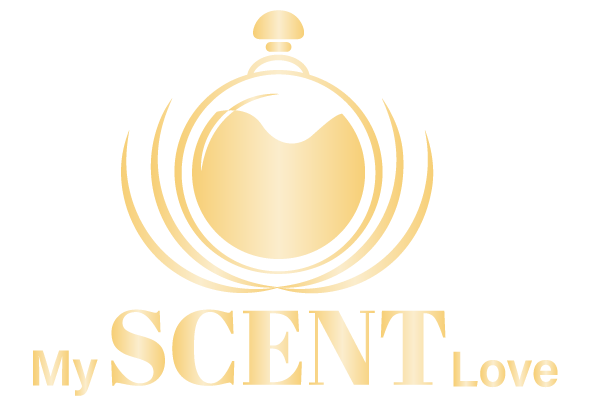 _img logo